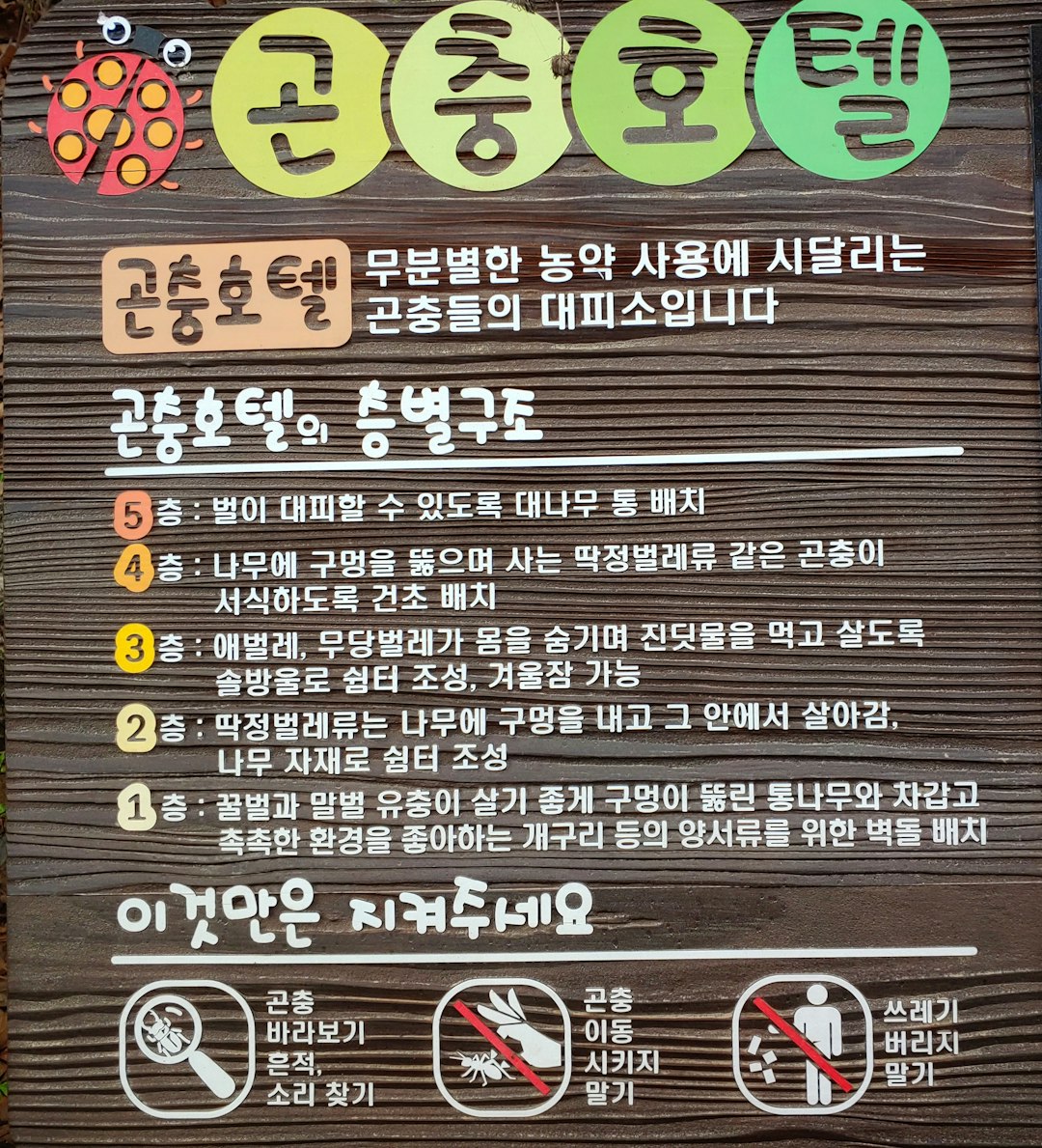 Cracking SEO Achievement: Highest Tips to Increase Your Exploration Placement